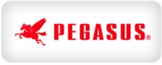 PEGASUS